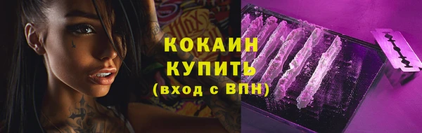 дурь Галич