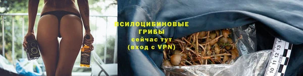 mdpv Елабуга