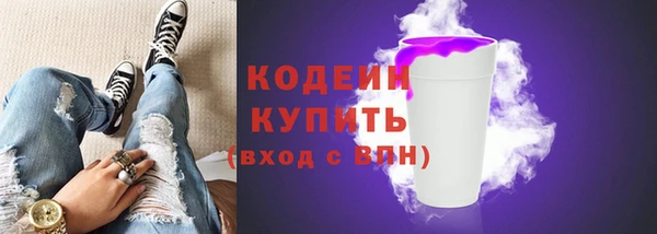 дурь Ельня