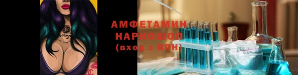 дурь Ельня