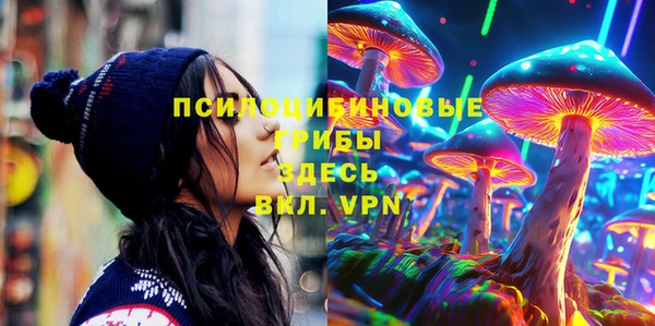 ALPHA PVP Заводоуковск